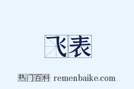 飞表是什么意思的图片